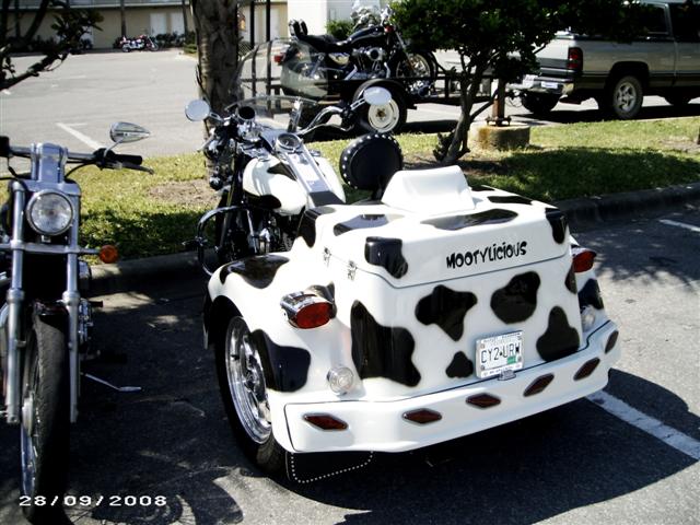 family photos 021 (Small)