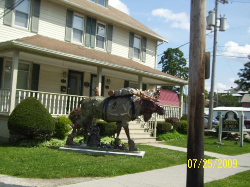 Field dressed moose in Bennington, VT