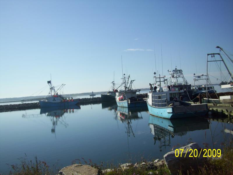 Fishing boats near the Forchu lighthouse area.