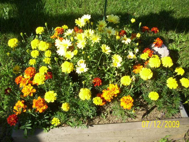 Flowers for the senses.