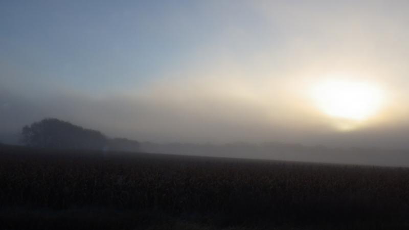 Foggy ride through the St. Croix River Valley north of Stillwater along the river.