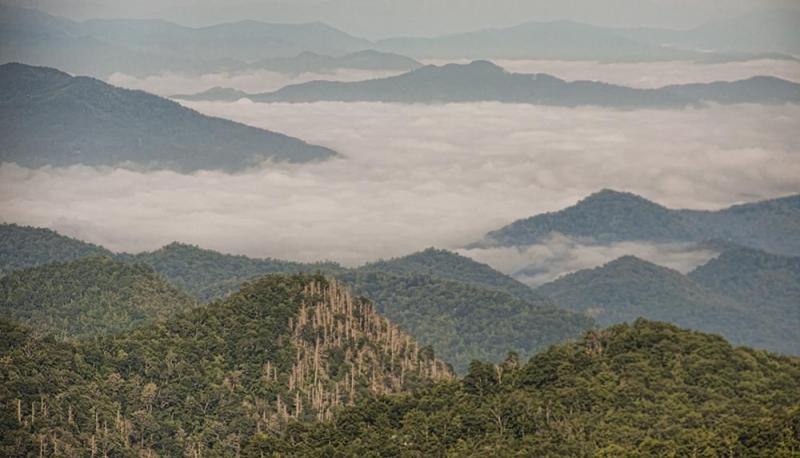 From Blue Ridge Parkway