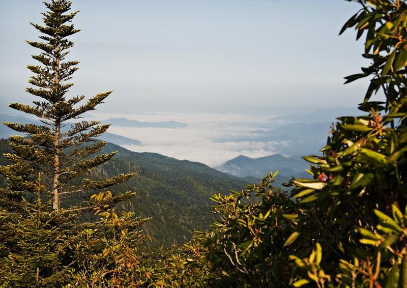 From Blue Ridge Parkway