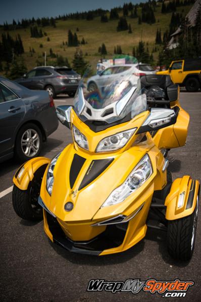 Front Quad Stripe kit in carbon fiber