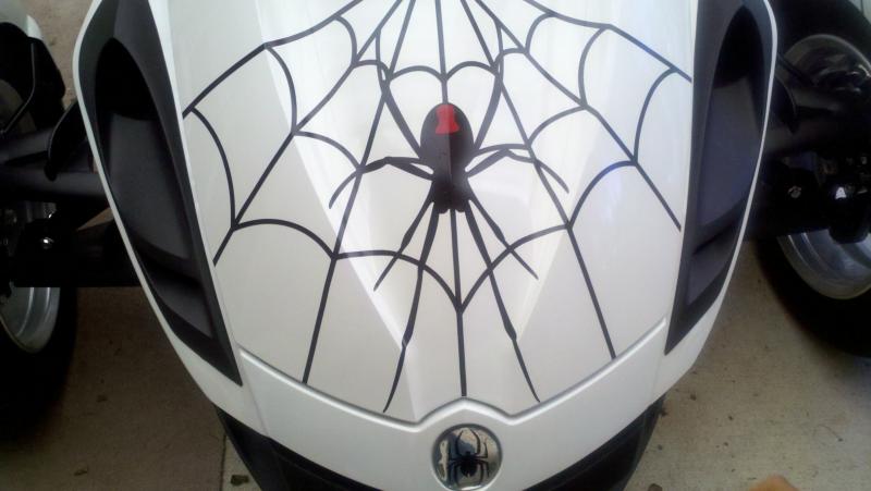 Front Spider and Web