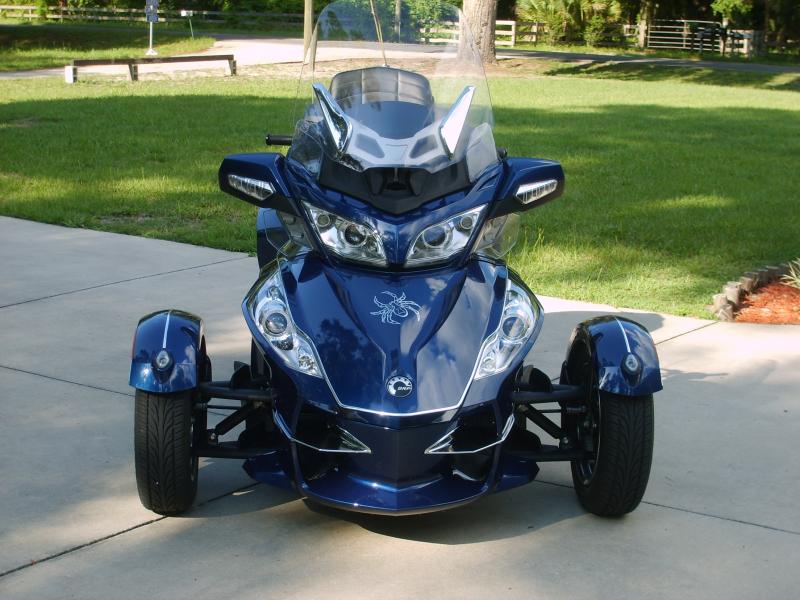 Front trim around trunk