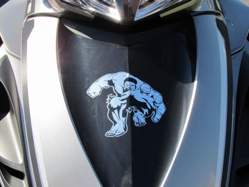 Frunk Inlay and Hulk Decal