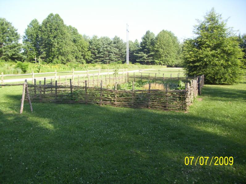 Garden surrounded by a great fence.