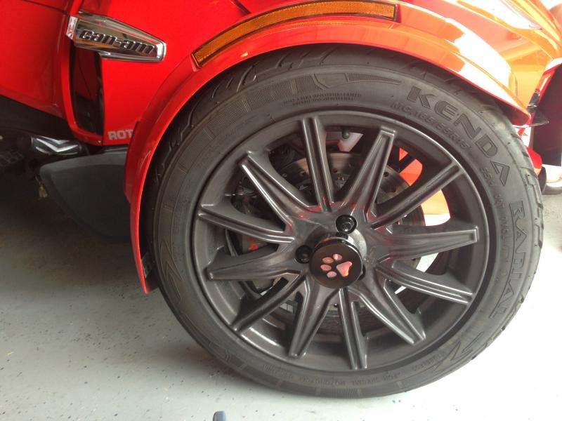 GloRyders black pawprint with remote control 9 light selection system.