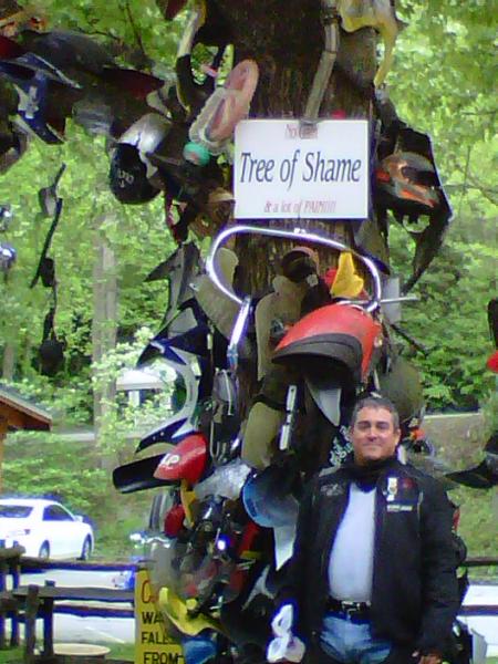 Gragons Tail, Tree of Shame