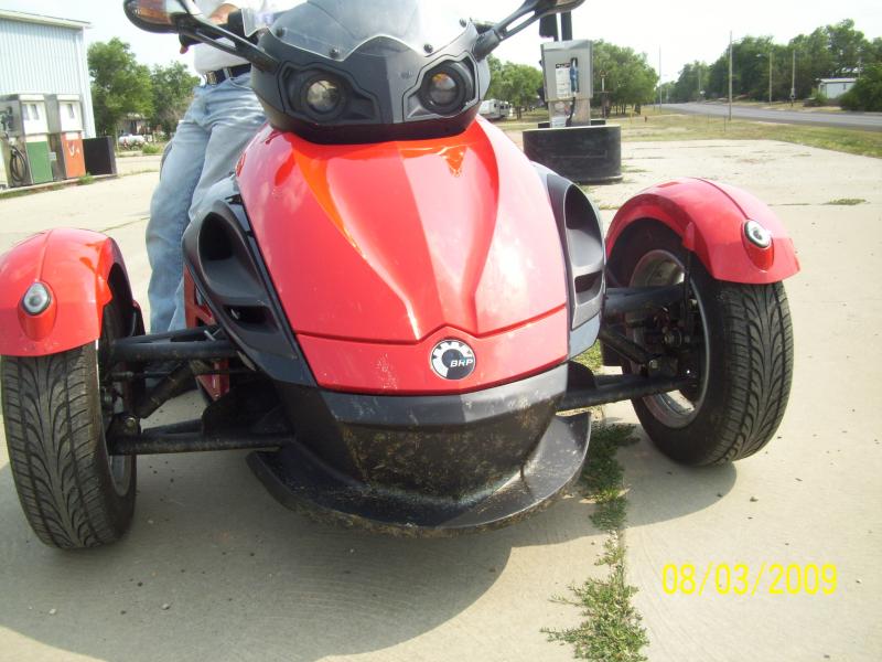 Grasshopper guts all over everything.