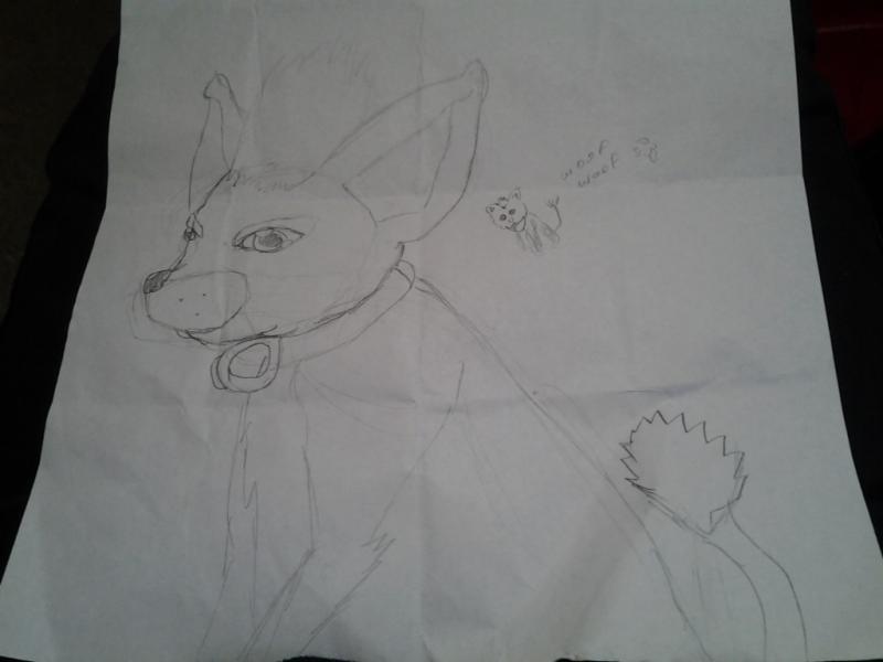 Hand drawn picture of Teddy by a 12yo lil girl that we met at the Closing Cerimonies
SITA 2012