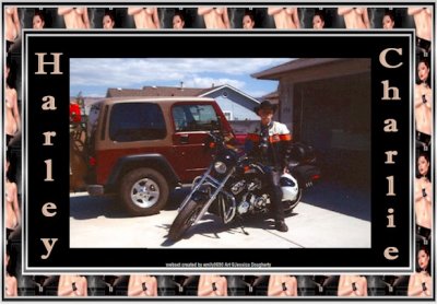 harley charley v rod