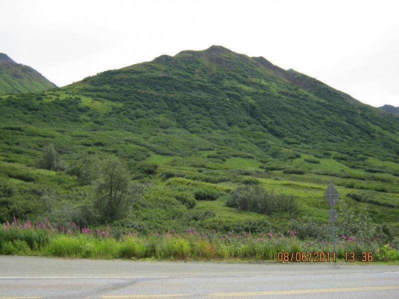 Hatcher Pass 8/6/11