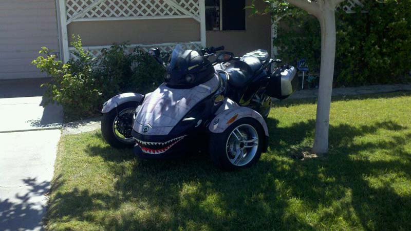 I got my pitbull tied up out front.  She's chillaxin in the shade.