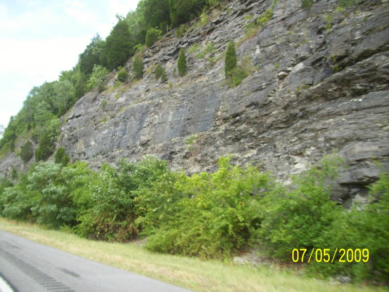 I liked the rocks as we zoomed (for us) by.  I-59 North, GA