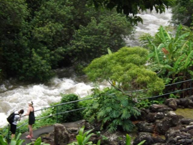 Iao Needle Area--Maui