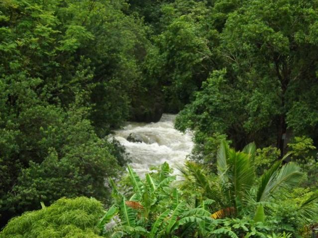 Iao Needle area--Maui