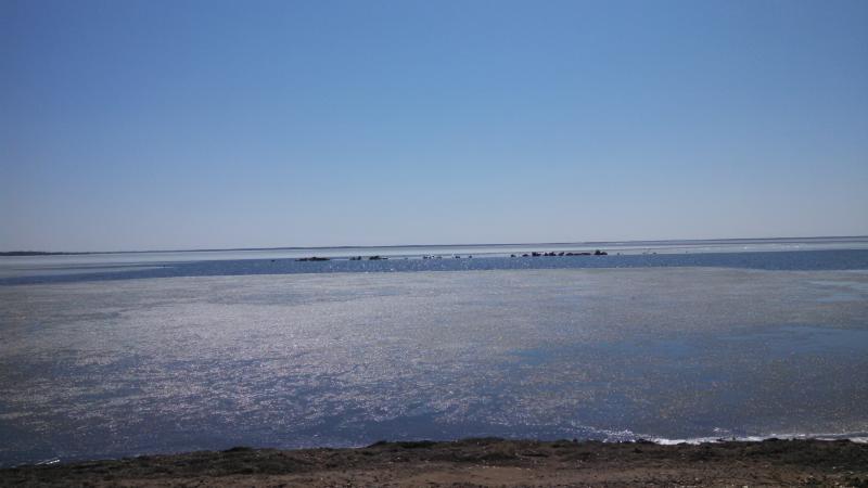 Ice on Lake Mille Lacs.....