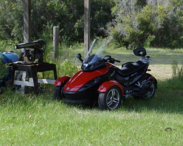 IKTOME waiting for new home.