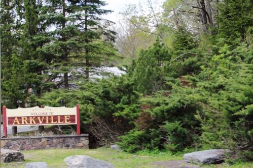 IMG 1412 (500x334) (2)