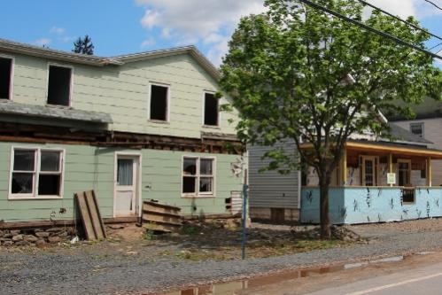 IMG 1510 (500x334) (2)