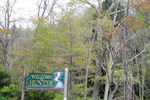 IMG 1557 (500x334) (2)