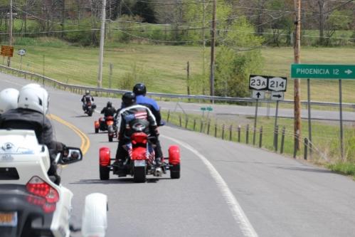 IMG 1565 (500x334) (2)