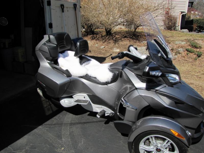 IMG 1948   Copy (800x600)