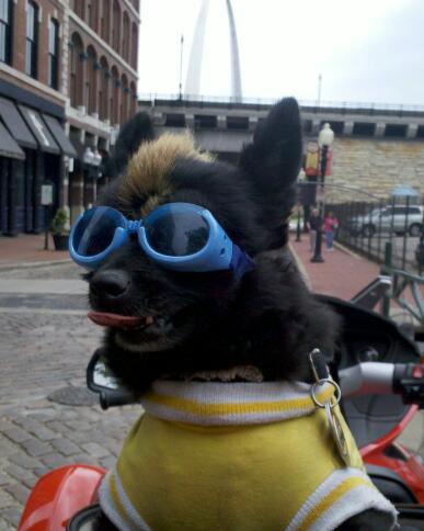 IMG 20110430 154759 1