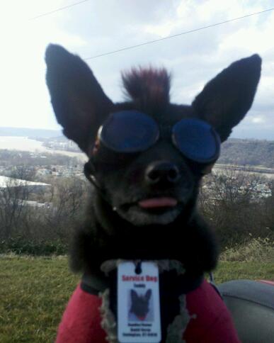 IMG 20120117 143845 1