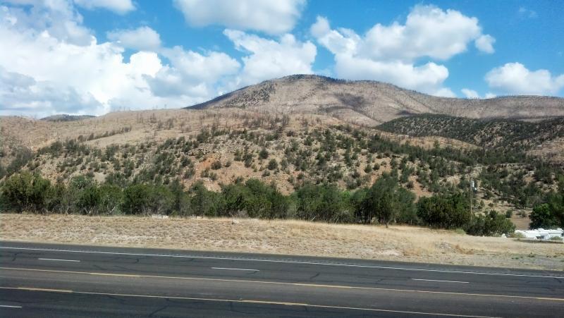 IMG 20130614 101402 205