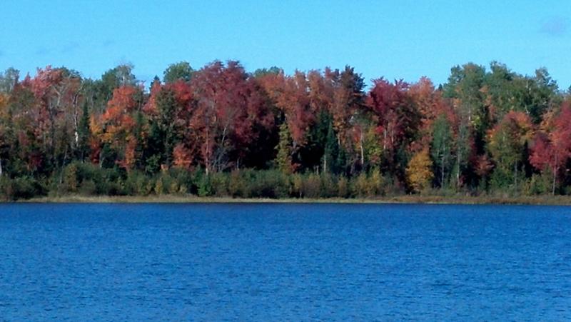 IMG 20140922 152551 781