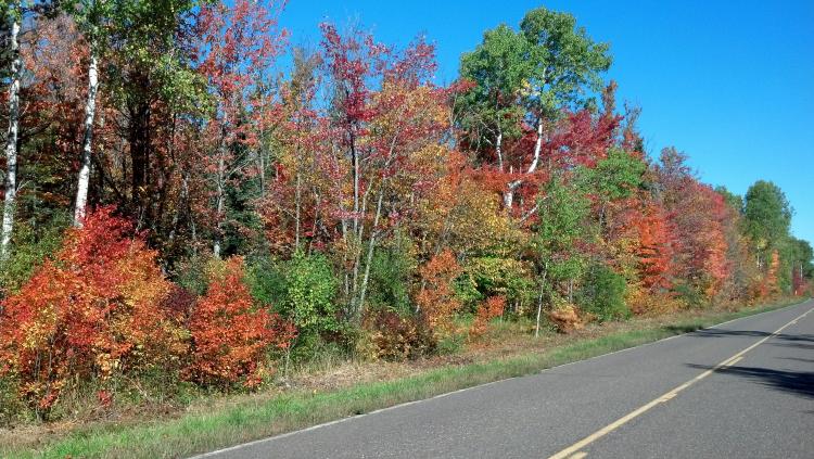 IMG 20140923 102817 324