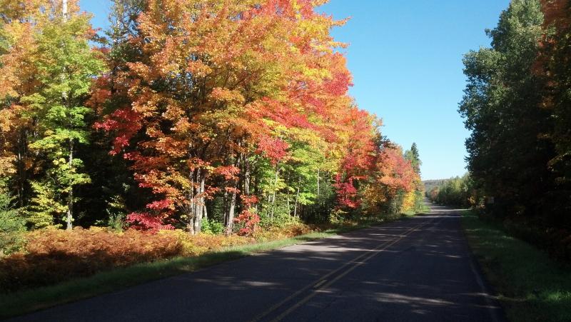 IMG 20140923 103527 603