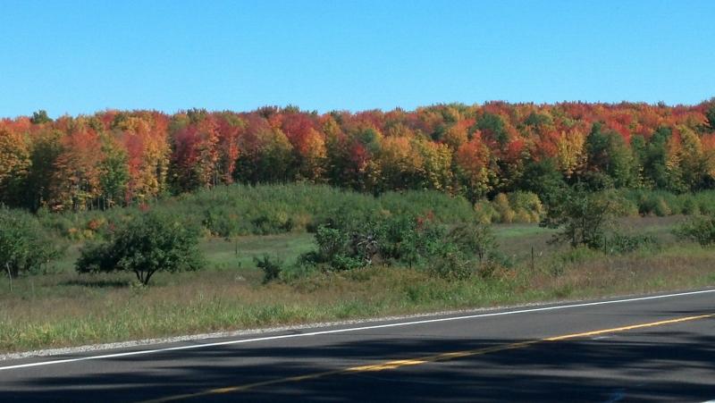 IMG 20140923 120733 677