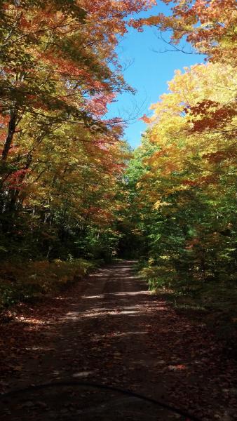 IMG 20140923 152958 473