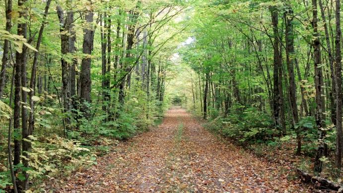 IMG 20140924 120911 834