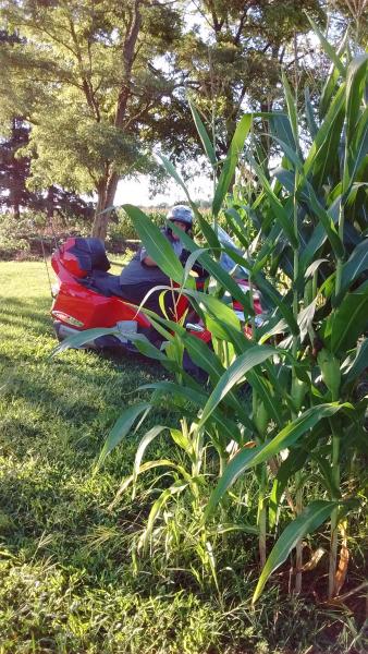 IMG 20160813 182517176