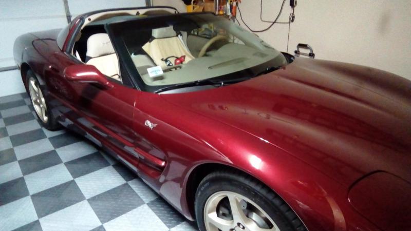 IMG 20180523 1801239 rewind