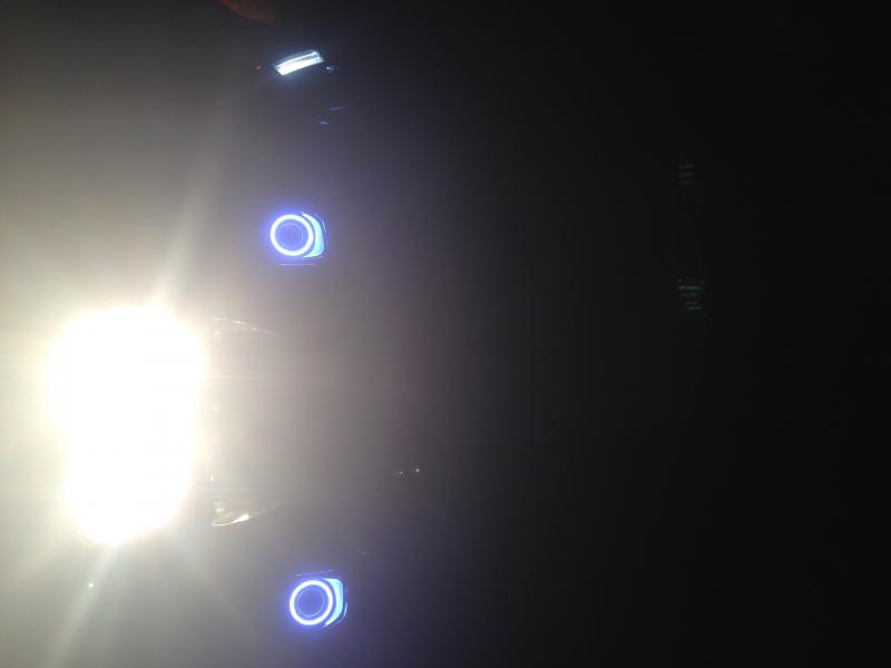 IMG 6596
Tricrings on the fog lights, wired to running lights on fenders
Farkle