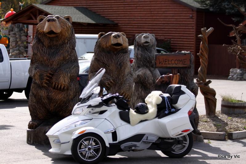 IMG 7968 trip to traverse city