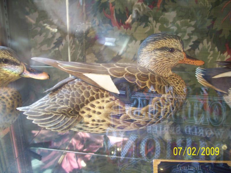 In a glass case. The following bird scuptures are hand done taking more than 400 man hours of work a piece. The detail was exquisite and very minute. 