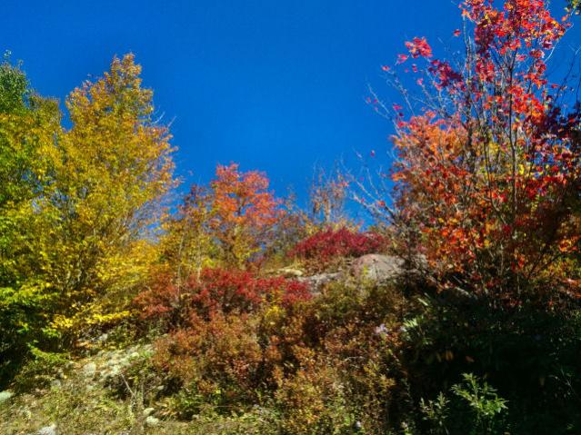 IOverlook off the Blue Ridge Pkwy.