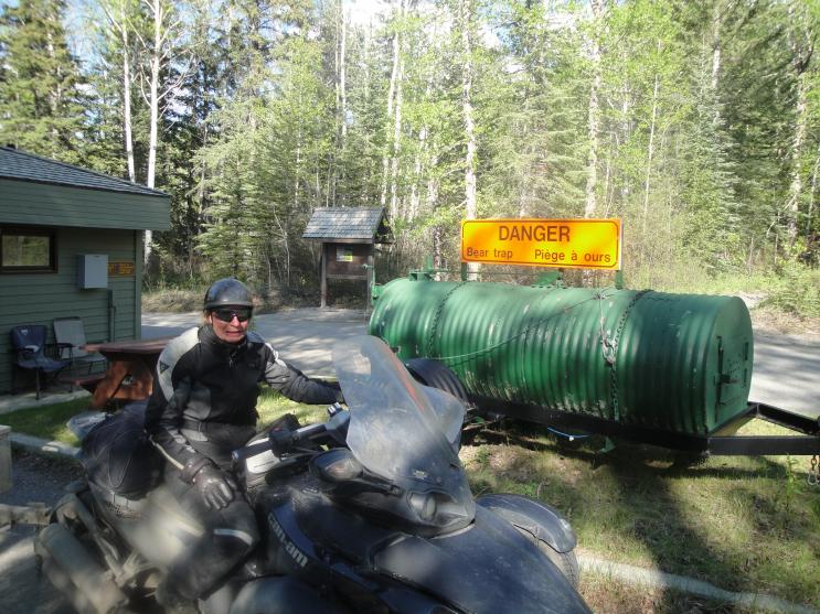 Jasper National Park, Alberta -  What happens to Bad Bears.