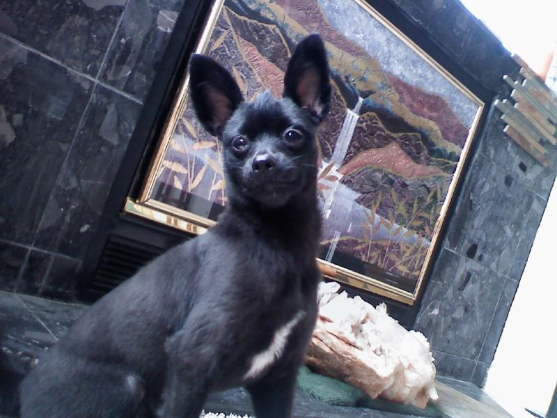 July 20 2009 Teddy strike'n a pose