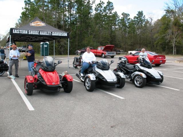 Kalavera, Littlebit and Sabunim5's Spyders