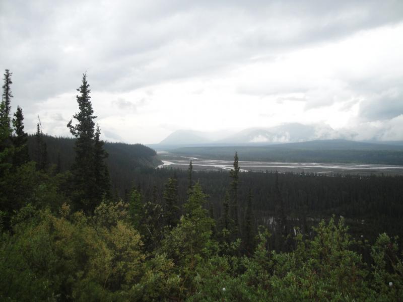 Kluane River, Yukon Terr. - Salmon run up this river.
