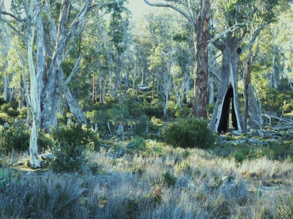 Lake Olive, Central Highlands, Tasmania
My Landcruiser is in there somewhere. Look hard and you can see it.