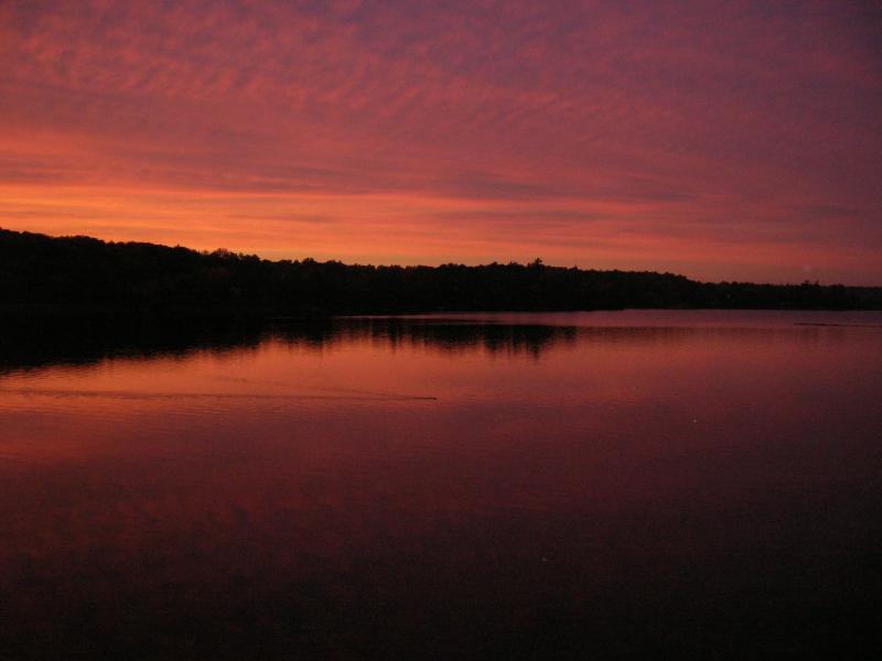 Last time the illusive Muskrat will cross the lake this year.